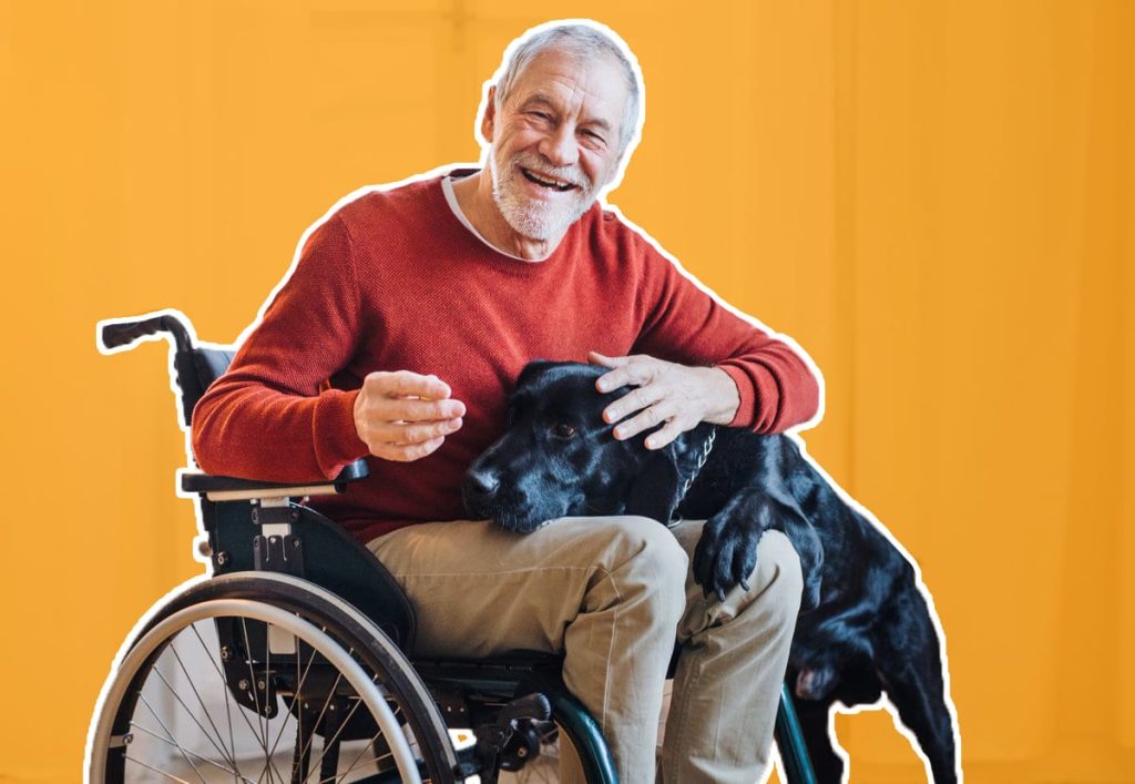 6-reasons-seniors-should-consider-adopting-a-pet